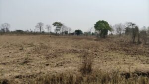 Plots in Hingna layout for residential use